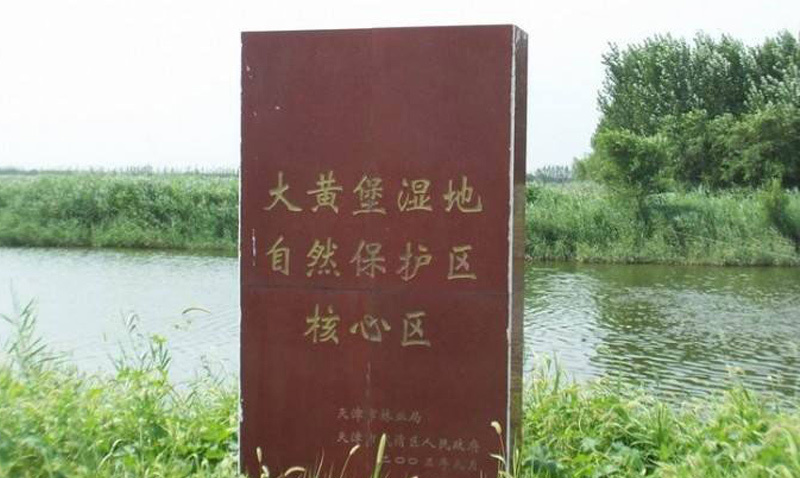308.jpg