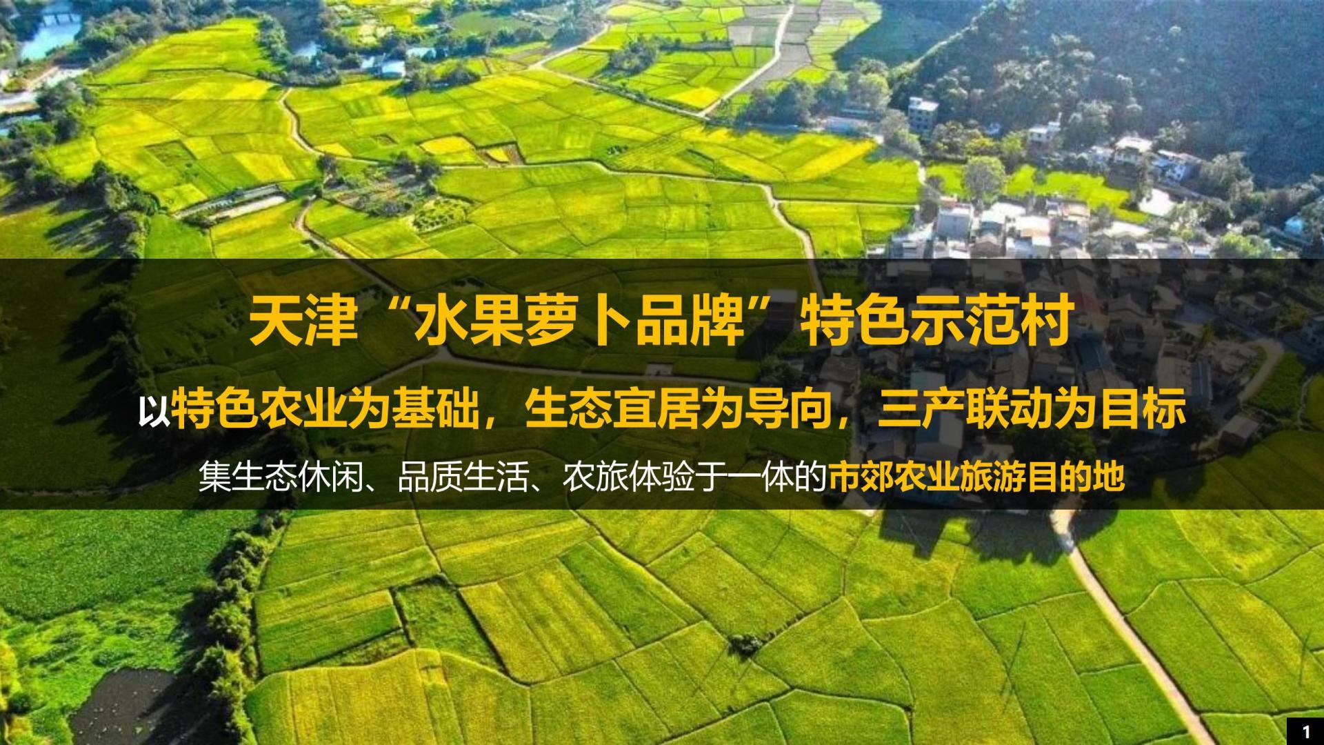 武清区大良镇田水铺村农村人居环境示范村建设项目