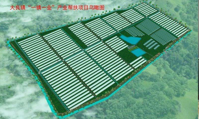  武清区大良镇一镇一业项目